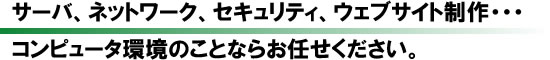 サーバ、ネットワーク、セキュリティ、ウェブサイト制作・・・コンピュータ環境のことならお任せください。